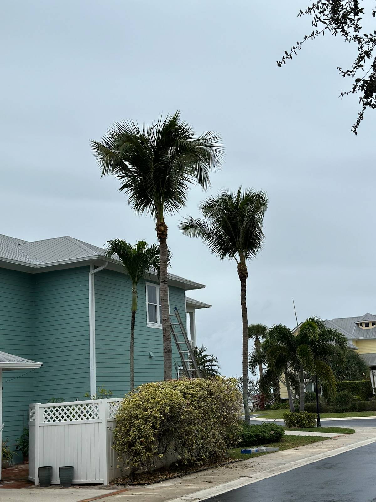 Gm Expert Tree Services Llc (4)