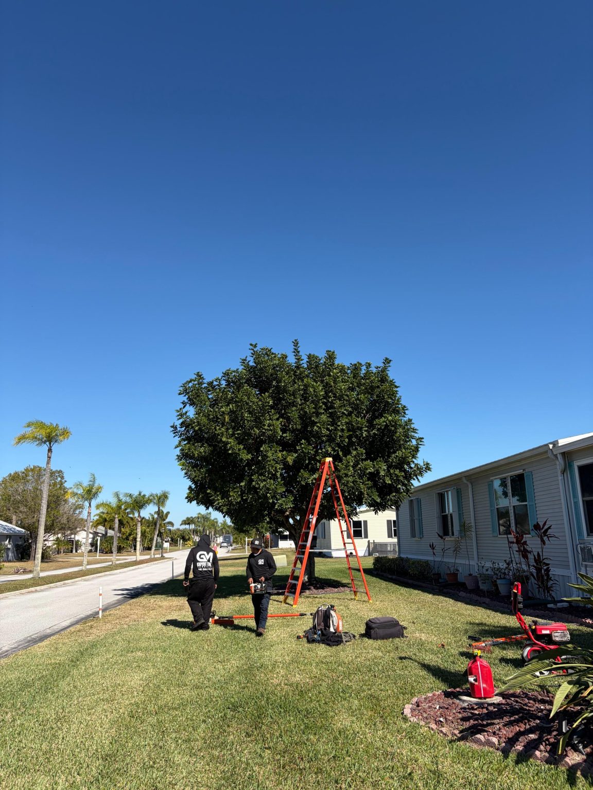 Gm Expert Tree Service 1 30 (21)
