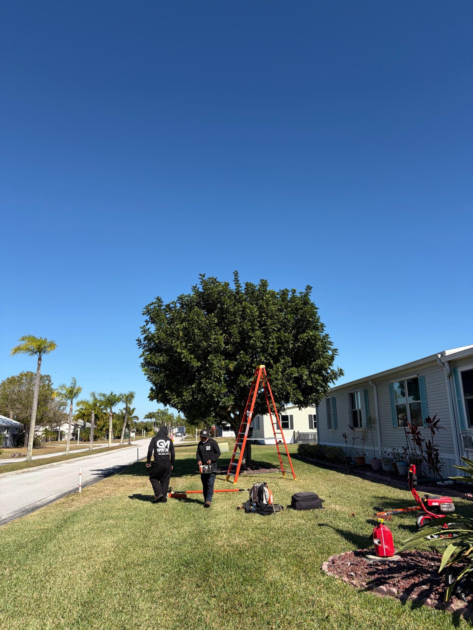 Gm Expert Tree Service 1 30 (21)