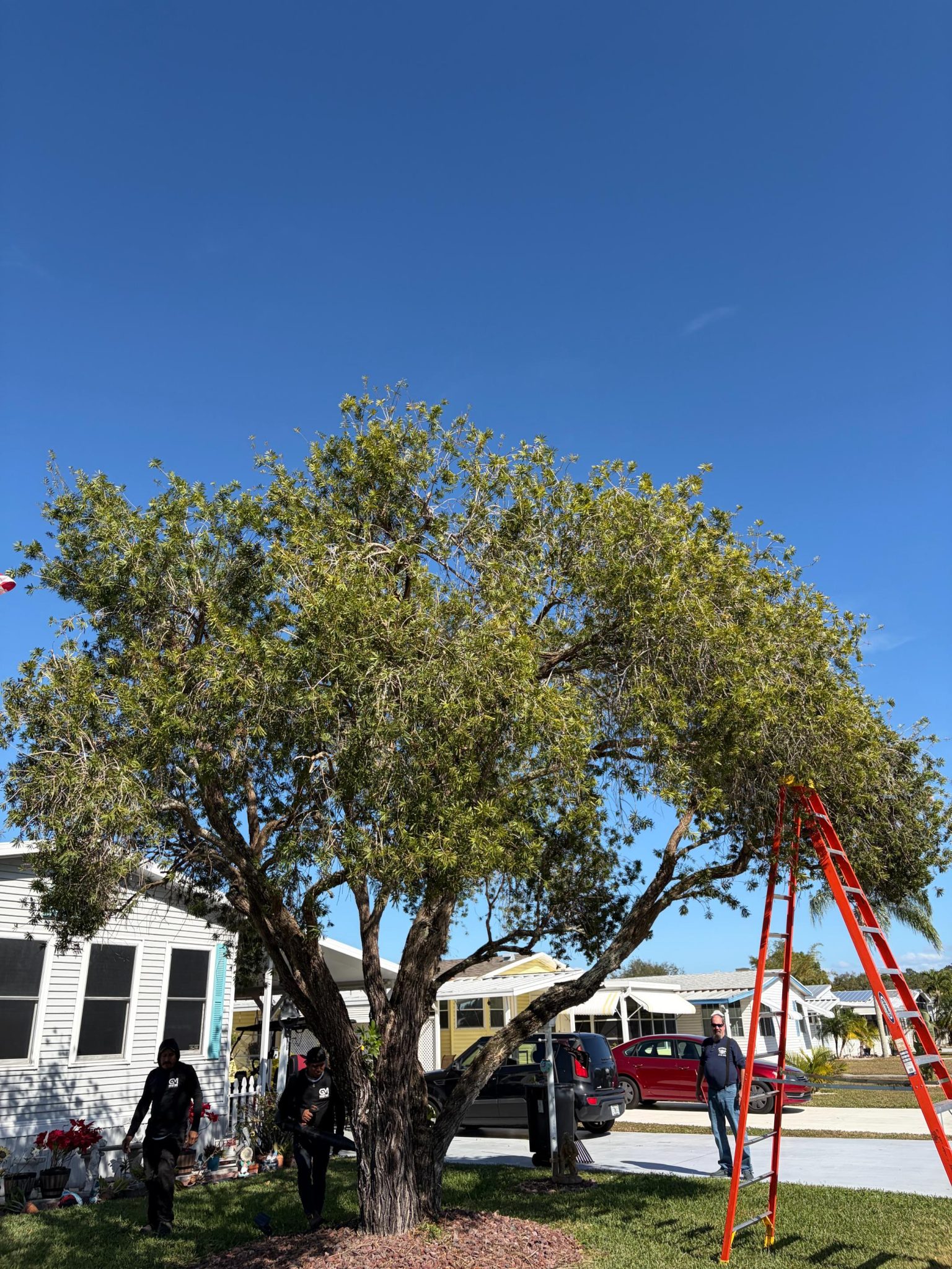 Gm Expert Tree Service 1 30 (24)